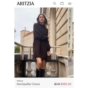 Aritzia Montpellier dress